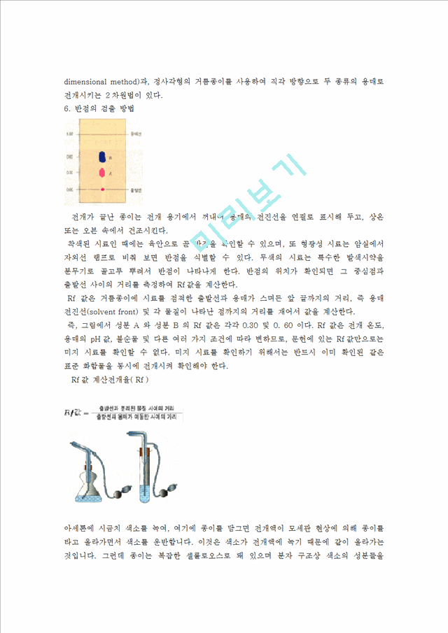 [자연과학] 생물실험 - 광합성 색소의 분리.doc